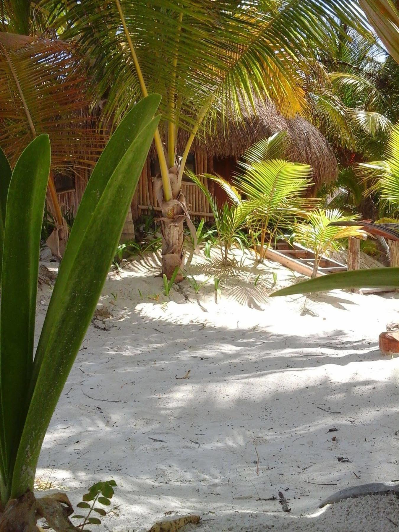 Hotel Zazil Kin Tulum Exteriér fotografie